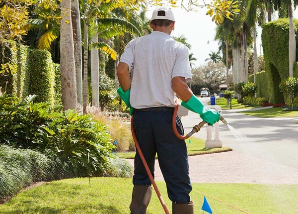 About Ashton IA Pest Control